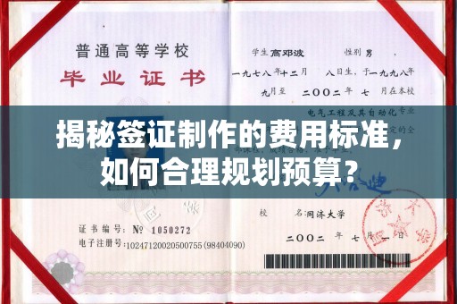 启东揭秘签证制作的费用标准，如何合理规划预算？