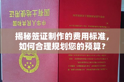 启东揭秘签证制作的费用标准，如何合理规划您的预算？