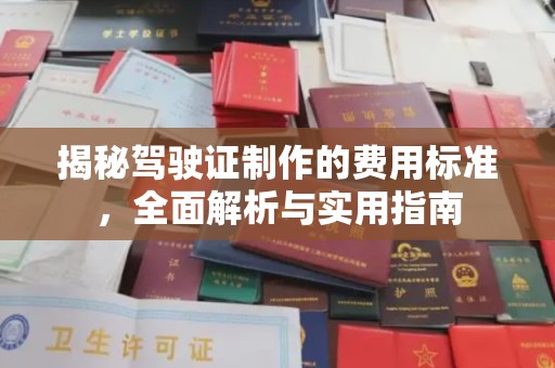 启东揭秘驾驶证制作的费用标准，全面解析与实用指南