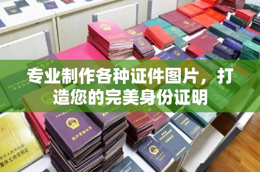 启东专业制作各种证件图片，打造您的完美身份证明