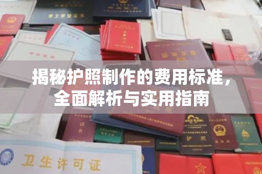 启东揭秘护照制作的费用标准，全面解析与实用指南
