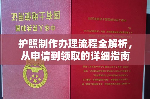 启东护照制作办理流程全解析，从申请到领取的详细指南