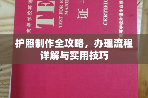 启东护照制作全攻略，办理流程详解与实用技巧