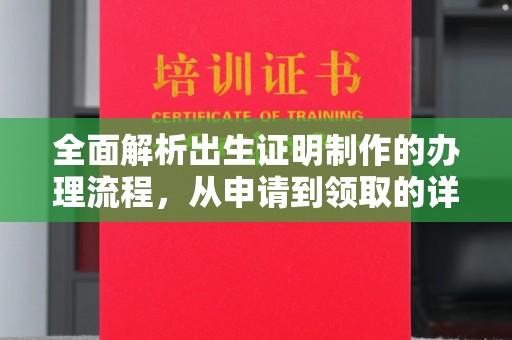 启东全面解析出生证明制作的办理流程，从申请到领取的详细指南